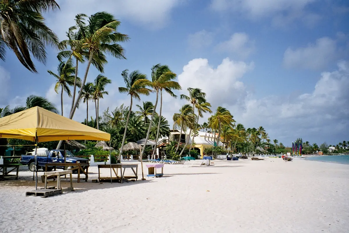 Palms and umbrellas on an Antigua beach